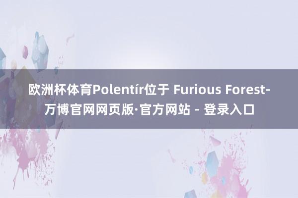 欧洲杯体育Polentír位于 Furious Forest-万博官网网页版·官方网站 - 登录入口